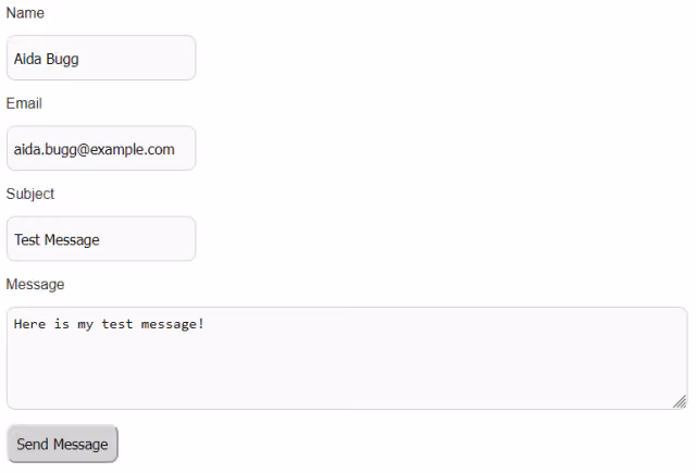 Screenshot of a completed contact form with test data.