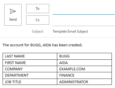 Screenshot of the structured e-mail template in Outlook.