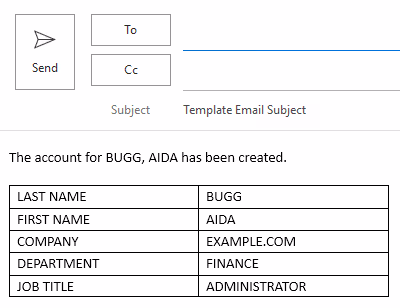 Screenshot of the structured e-mail template in Outlook.